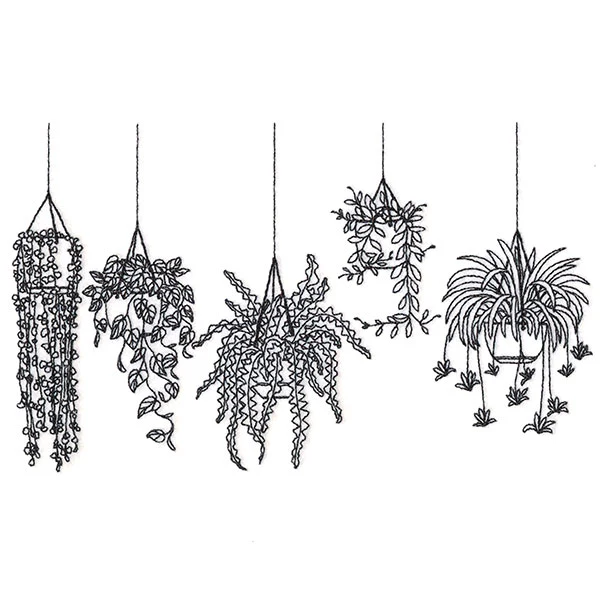 Hanging Houseplants Border - Image 3