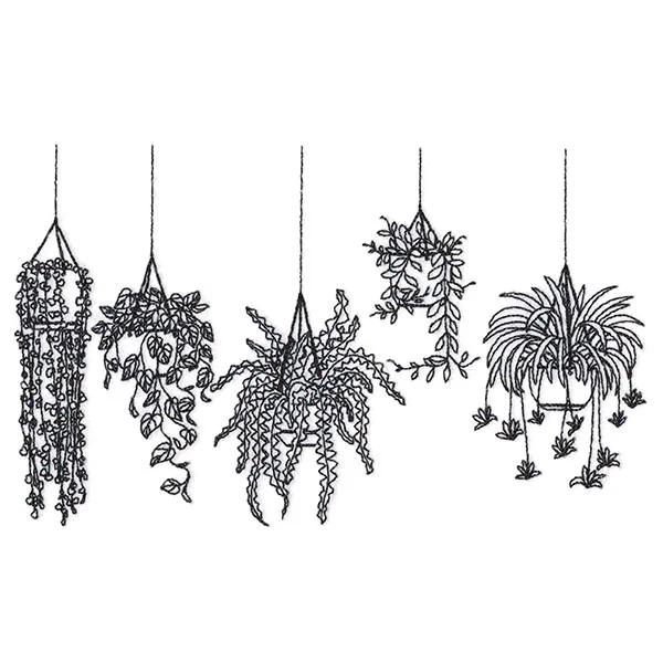 Hanging Houseplants Border - Image 4
