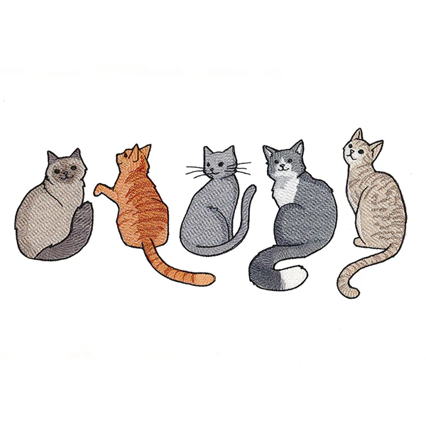 Hey Meow Cat Border