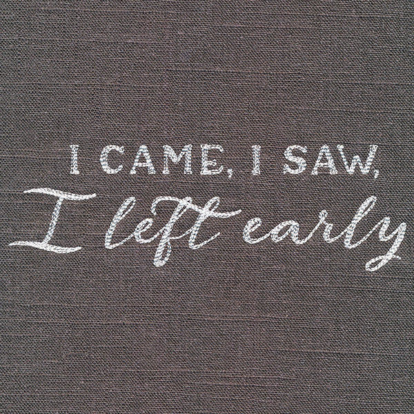 I Came, I Saw, I Left Early - Image 4