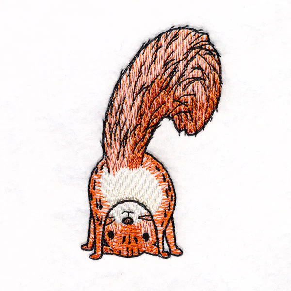 I'm Not Crazy - Squirrel 3