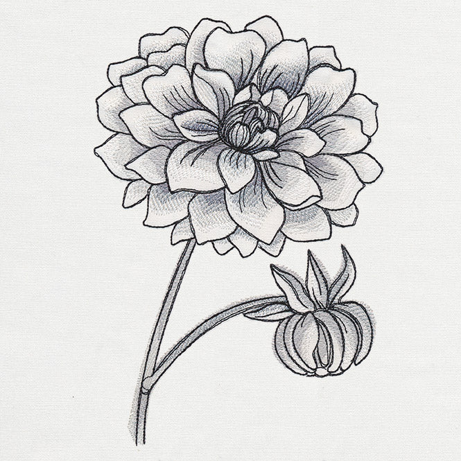 Ink & Wash - Dahlia - Image 2