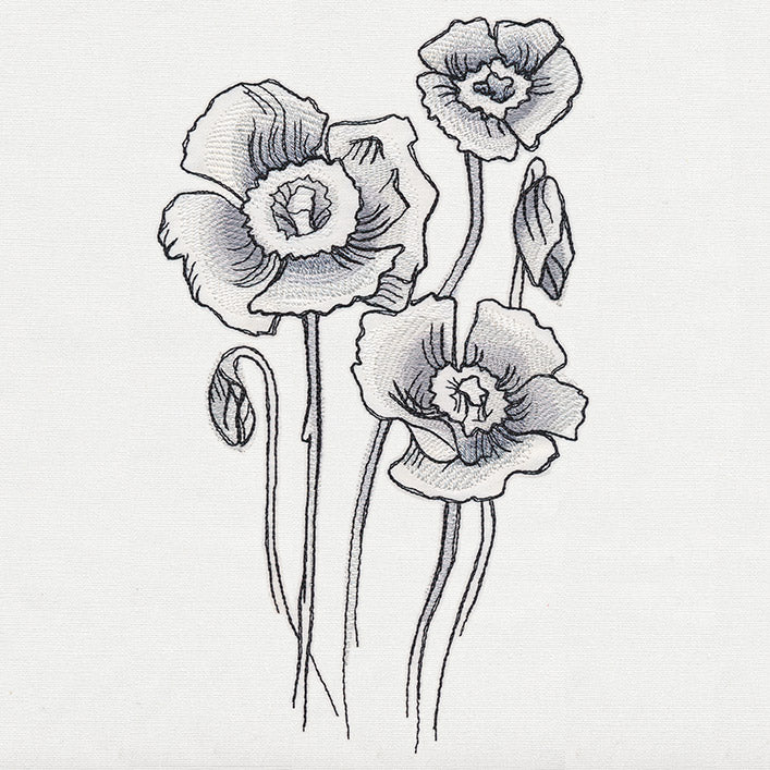 Ink & Wash - Poppies - Image 2