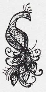 Inked Peacock - Image 5