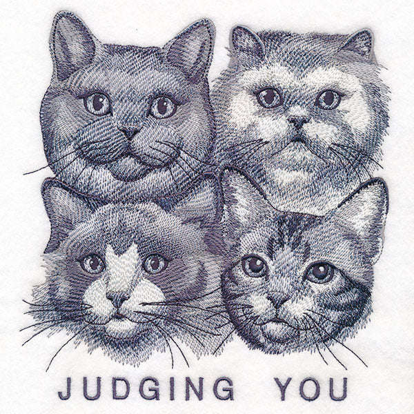 Judging You Cats - Image 3