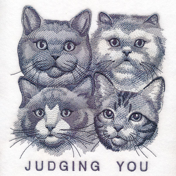 Judging You Cats - Image 4