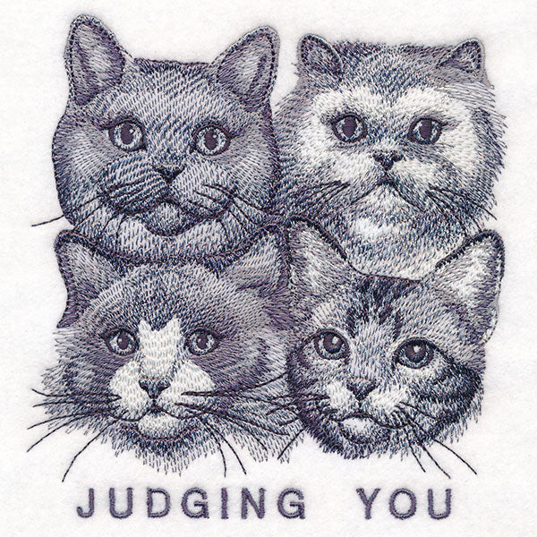 Judging You Cats - Image 7