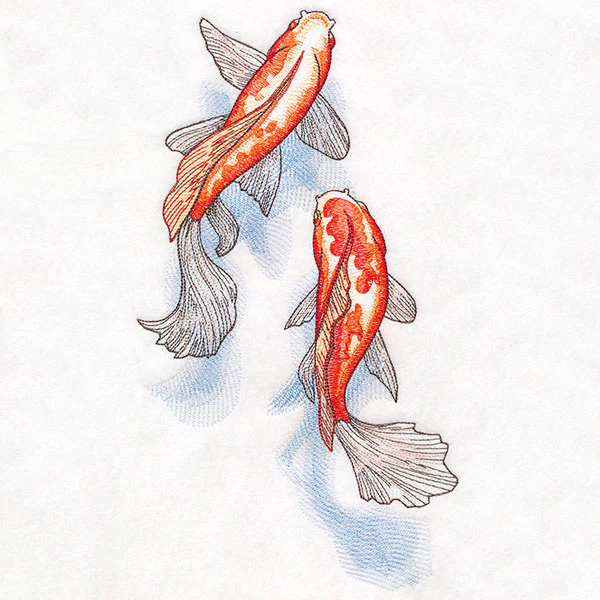 Koi and Shadows