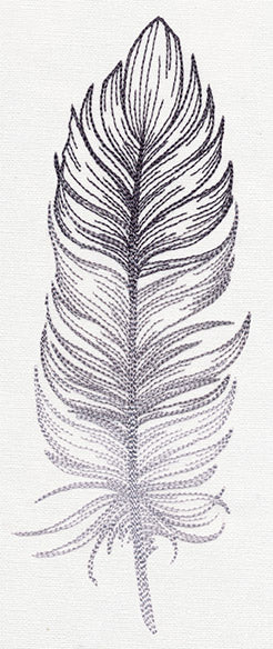 Light as a Feather - Image 3