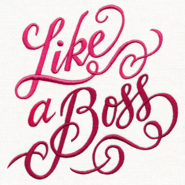Like a Boss - Image 2
