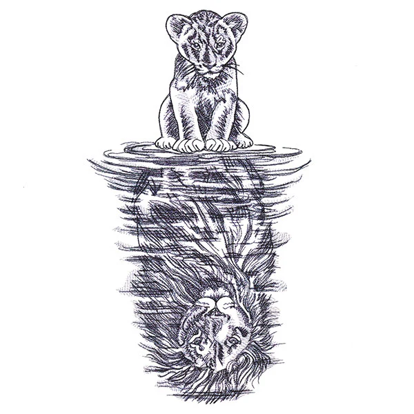 Lion Reflection