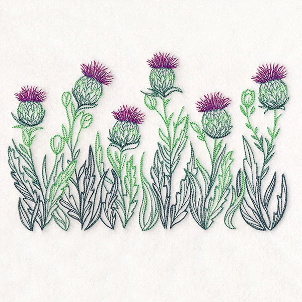 Lively Thistle Border - Image 10