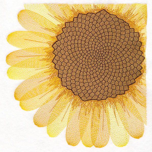 Macro Sunflower Square - Image 11