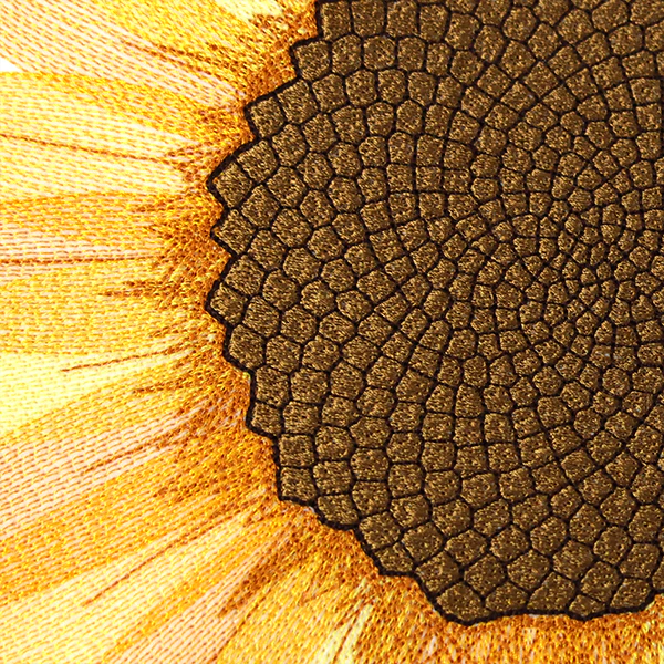 Macro Sunflower Square - Image 8