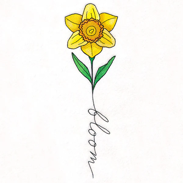 May Bloom Daffodil