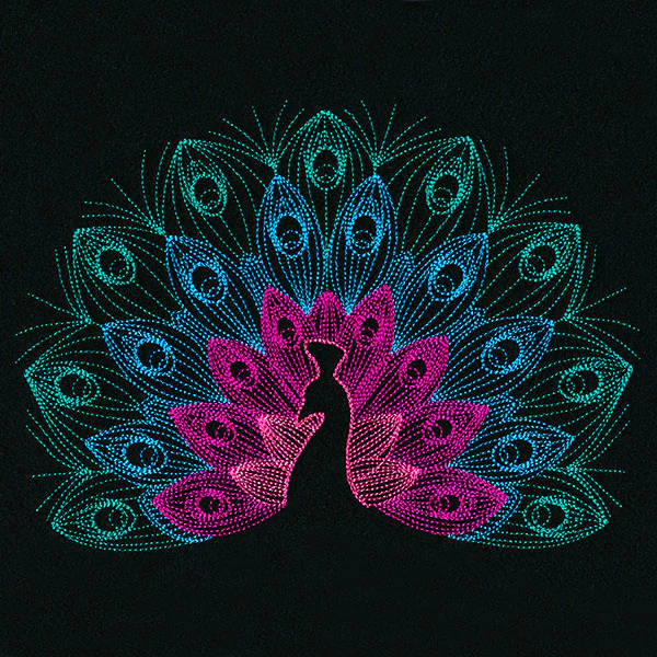 Mesmerizing Peacock