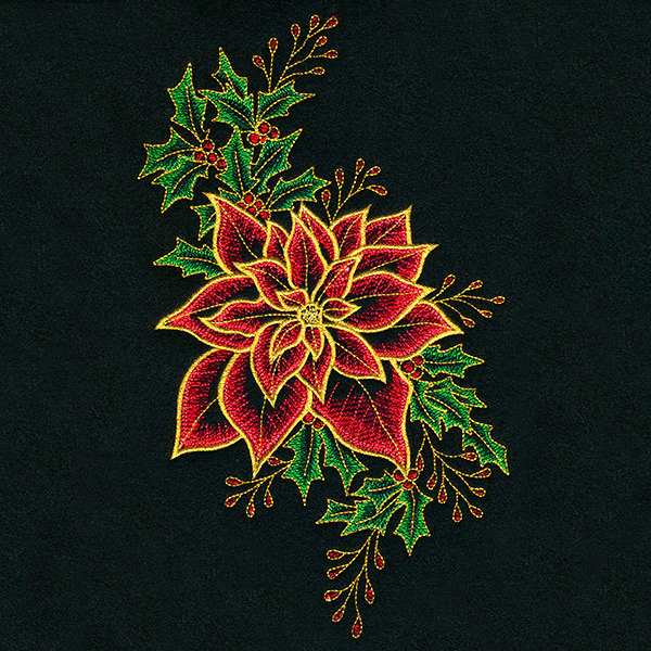 Midnight Poinsettia Blooms