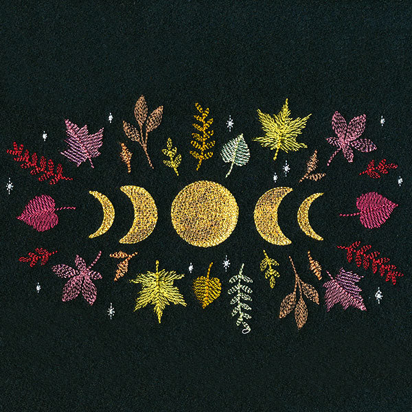 Moon Phases in Fall Feature - Image 5