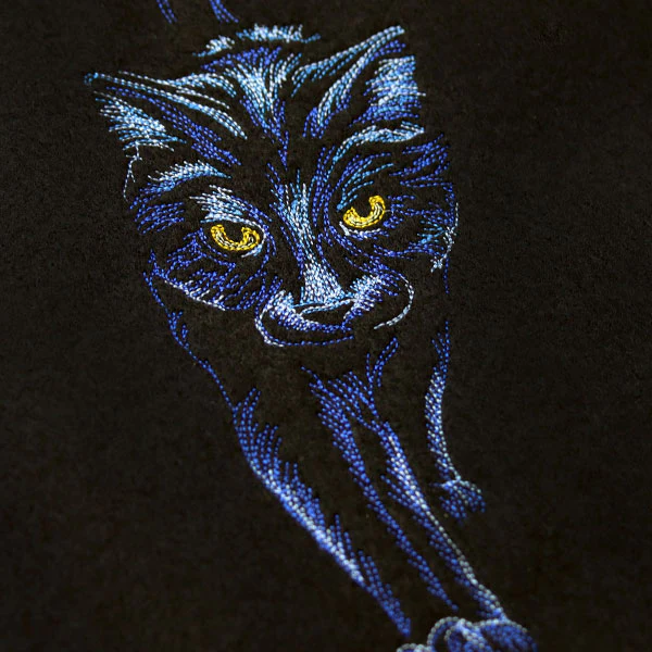 Moonlit Black Cat