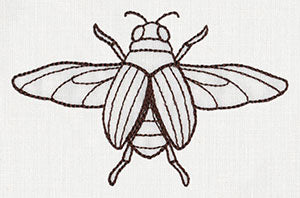 Nature's Curiosities Beetle - Image 3