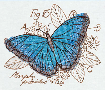 Nature's Curiosities Butterfly Diagram - Image 2