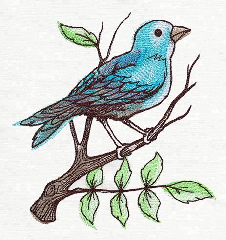 Nest - Perching Bird