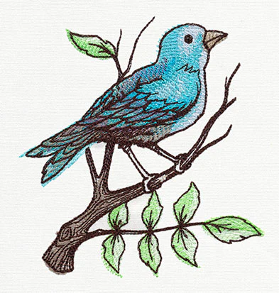 Nest - Perching Bird - Image 2
