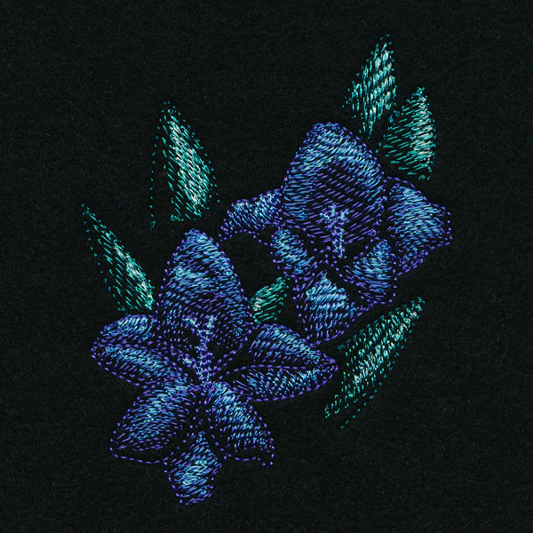 Night Garden Gladiolus - Image 4