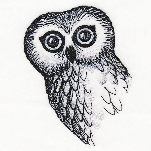 O Hai Owl - Image 4