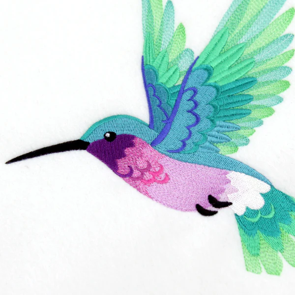 Ombre Hummingbird in Flight - Image 6