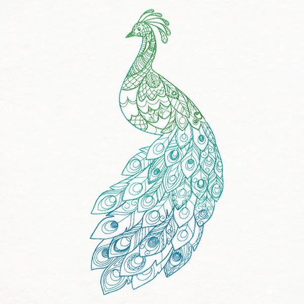 Ombre Majesty Peacock - Image 3