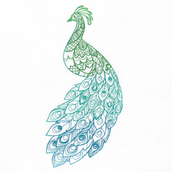 Ombre Majesty Peacock - Image 5