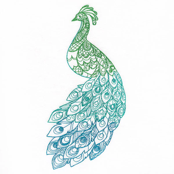 Ombre Majesty Peacock - Image 7