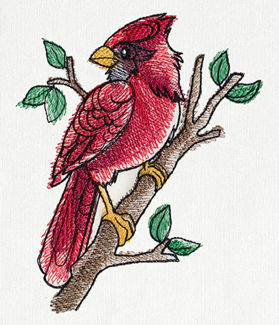 Painted Cardinal - Image 2