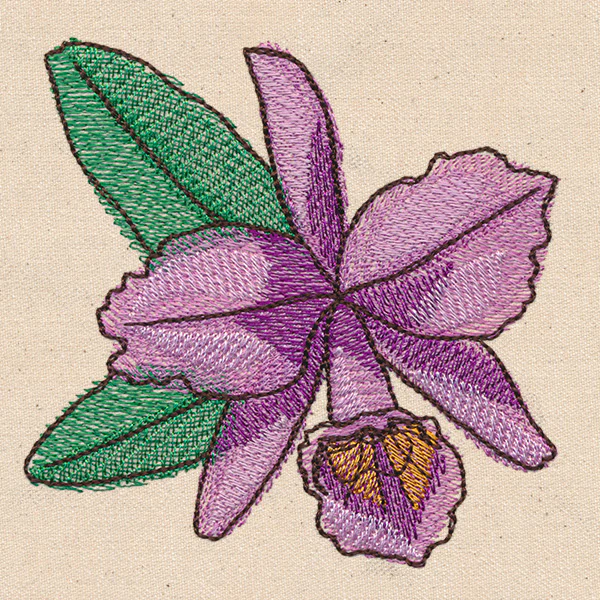 Passport to Brazil - Corsage Orchid