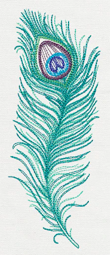 Peacock Quill - Image 4