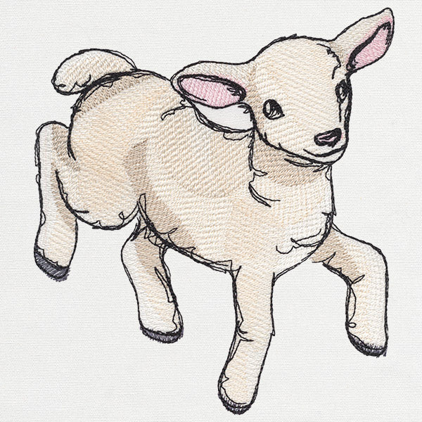 Playful Lamb - Image 2