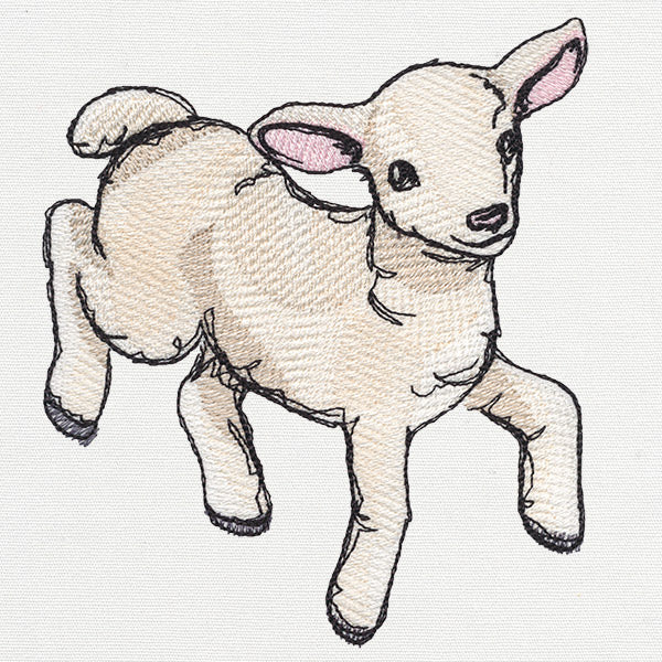 Playful Lamb - Image 3