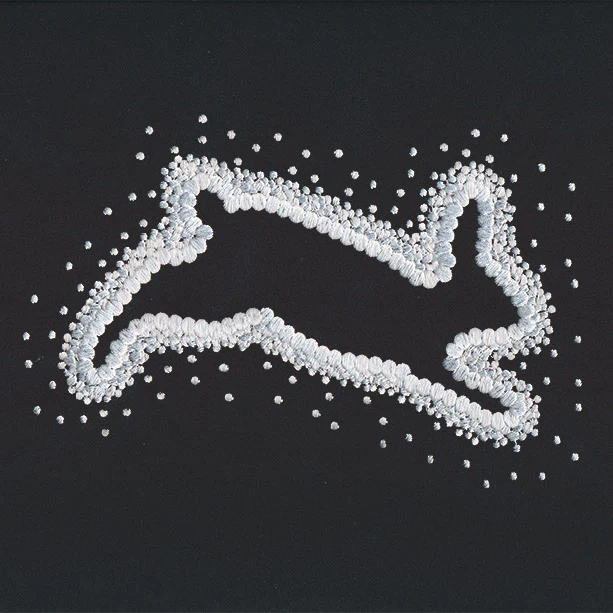 Pointed Rabbit