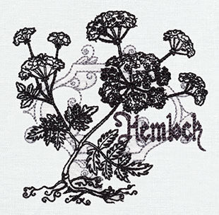 Pretty Poison - Hemlock - Image 3