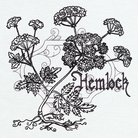 Pretty Poison - Hemlock - Image 4