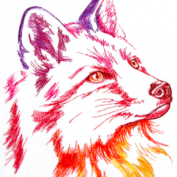 Rainbow Fox - Image 2