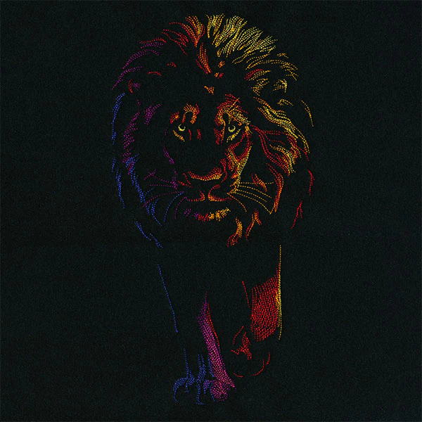 Rainbows & Mystery Lion - Image 3