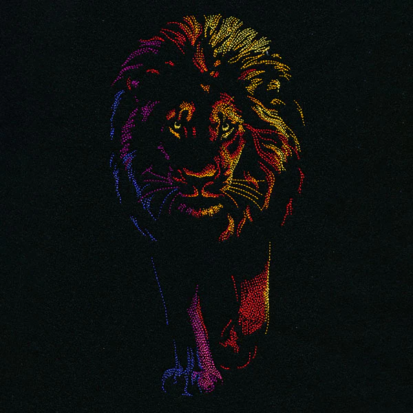 Rainbows & Mystery Lion - Image 5