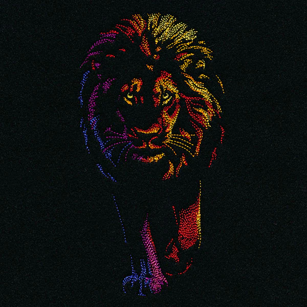 Rainbows & Mystery Lion - Image 9