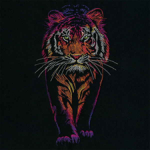 Rainbows & Mystery Tiger