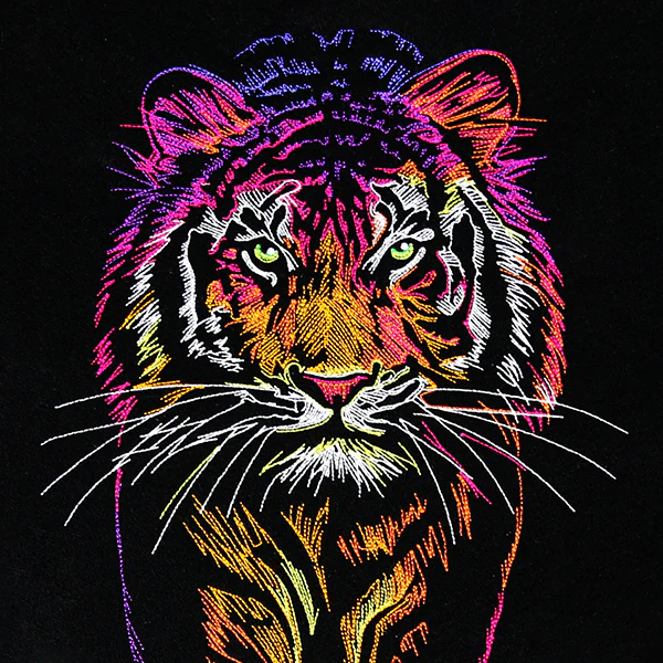 Rainbows & Mystery Tiger - Image 2