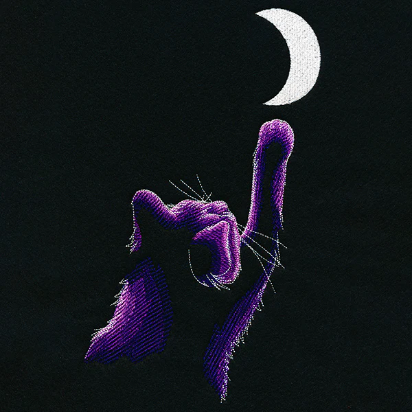 Reach for the Moon - Image 23