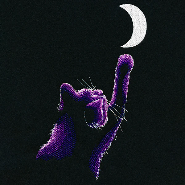Reach for the Moon - Image 7