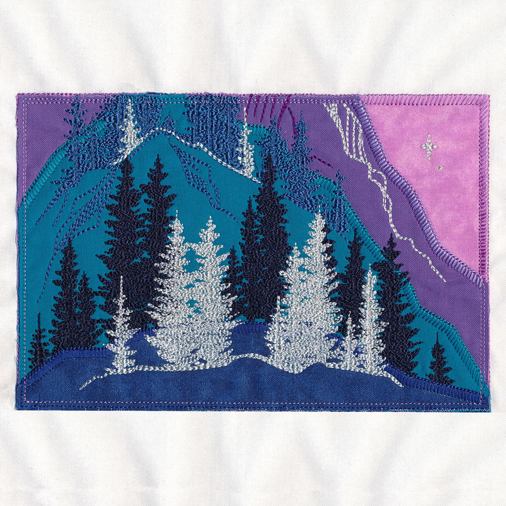 Reflection of Radiance Scene (Applique) - Image 14